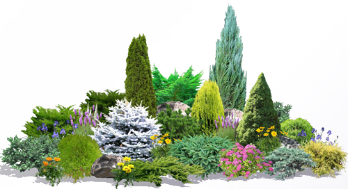 Пример 2D визуализации при благоустройстве и озеленении территории